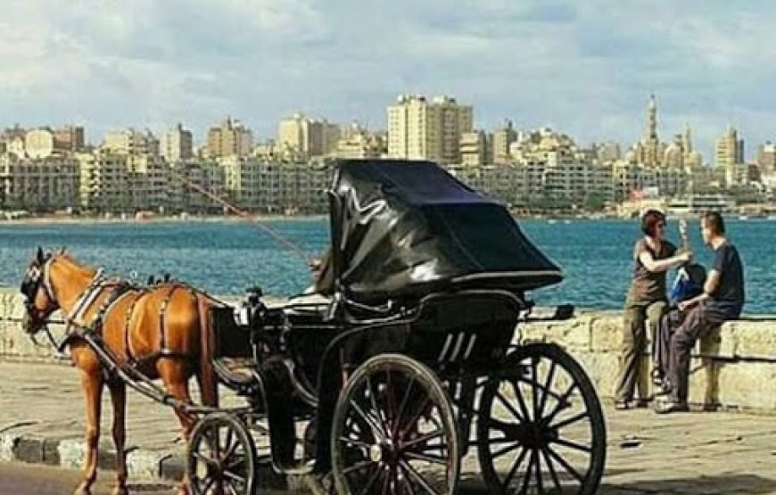 Full Day Private Tour in Museums of Alexandria City in Egypt